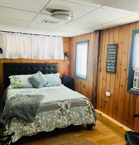 Homesteading At 55 Main